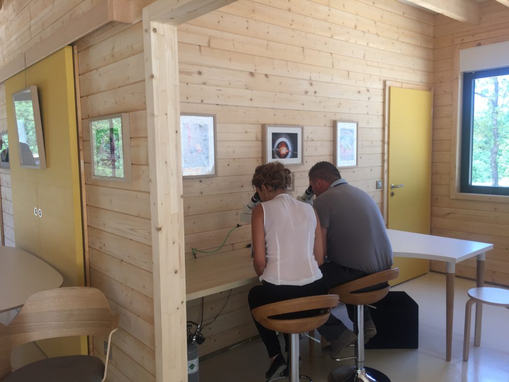 travailler dans un bâtiment construit en bois massif