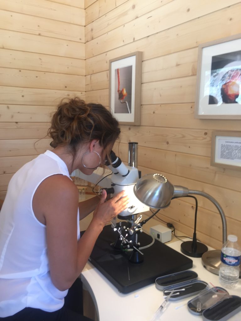 Travailler dans un bureau en bois massif