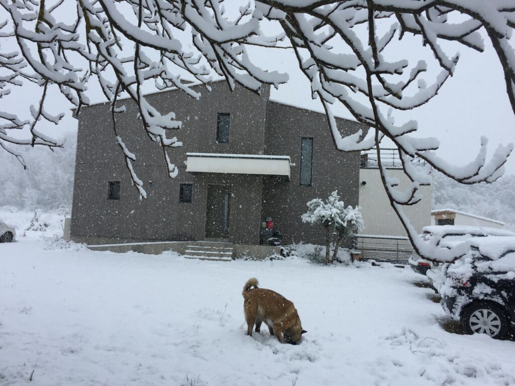 maison bois sous le froid