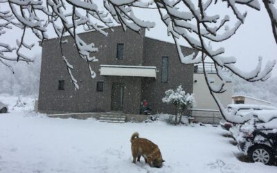 maison bois sous le froid